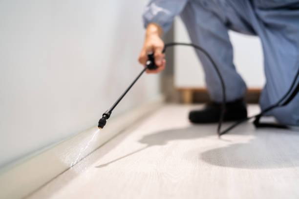 Licensed Bed Bug Control service in Fairfax city County, VA - Nex Pest Control