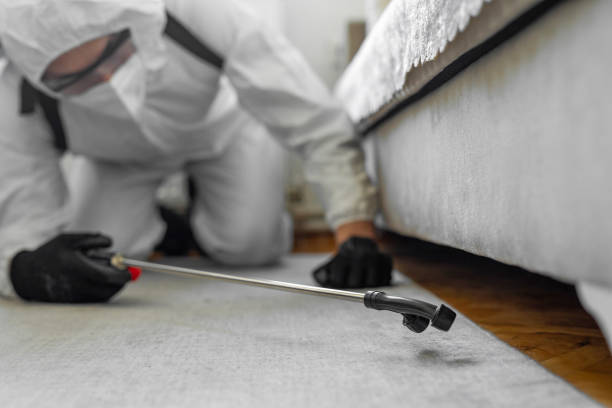 Professional Bed Bug Control technician working in Fairfax city County, VA